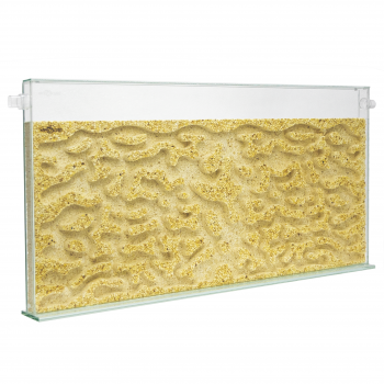 ANTCUBE - Popcorn Nest 60x30 - L